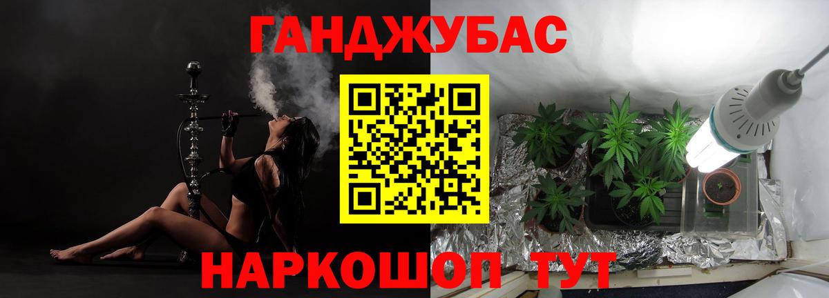 Бошки Шишки планчик Черногорск